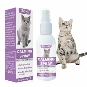 7502-1-adventskalender-fuer-katzen.jpg