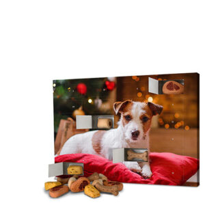 9966-1-hunde-adventskalender-mit-foto.jpg