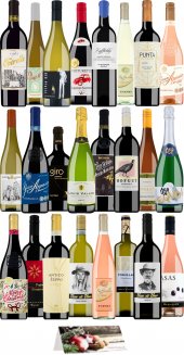 Wein- und Sekt-Adventskalender 2020 1 Der große 24 Türchen BELViNi-Adventskalender mit 18 l Wein
