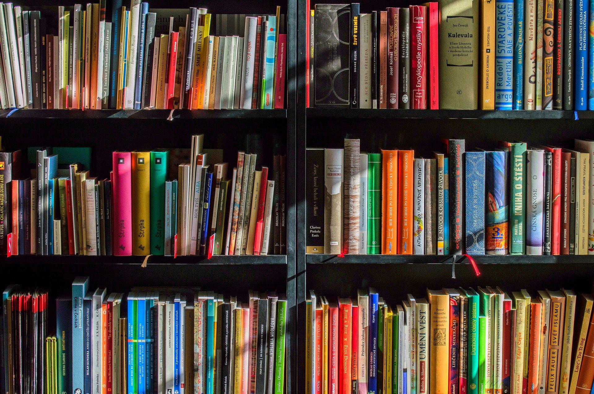 Bücher - Symbolbild