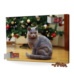 18550-1-foto-katzen-adventskalender-l.jpg