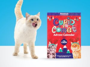 18607-1-cupid-comet-katzen-adventska.jpg